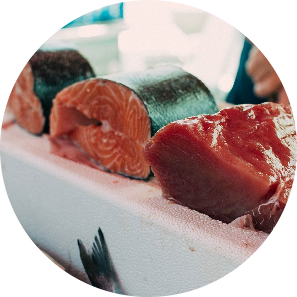 Sliced Salmon fish on a fish market stand